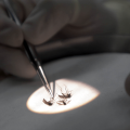 NYC Reports First West Nile Virus Case of 2026 Amid Mosquito Season Warnings