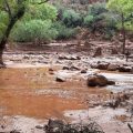 Flash Floods Lead to Evacuations and Destruction in Grand Canyon