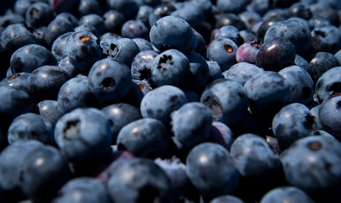 FDA Issues High-Risk Warning for Contaminated Berry Products