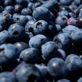 FDA Issues High-Risk Warning for Contaminated Berry Products