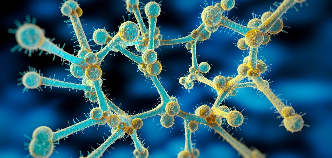 Candida Auris: A Growing Health Threat in the U.S.