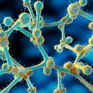 Candida Auris: A Growing Health Threat in the U.S.