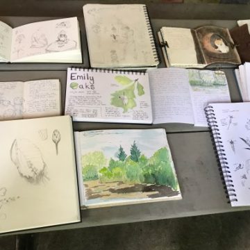 Chicago Nature Journaling Club: Connecting with Nature Through Art