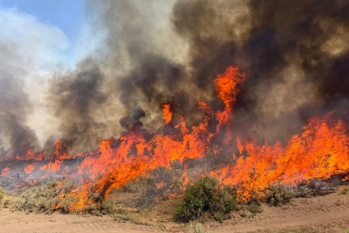 Widemouth 2 Fire Becomes Utah’s Largest Wildfire of the Year