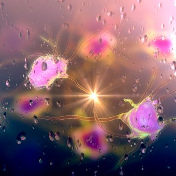 How Aging Alters Brain’s Immune Landscape, Potentially Leading to Dementia
