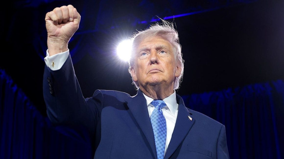 6c80068d-9b4f-4989-9226-efe1f5e99632 Potential Challenges for Trump as Midterms Approach