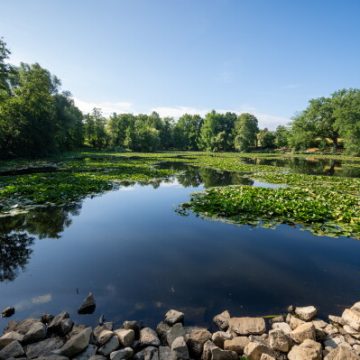 Impact of Extreme Heat on American Lives