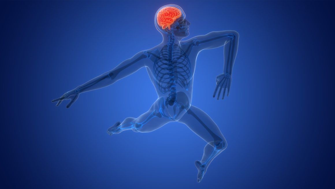 Study Examines the Impact of Physical Activity Types on Dementia Risk