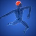 Study Examines the Impact of Physical Activity Types on Dementia Risk