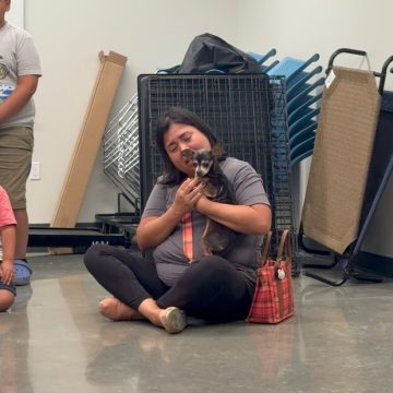 Dog Reunited: Flor Returns Home After 12 Years