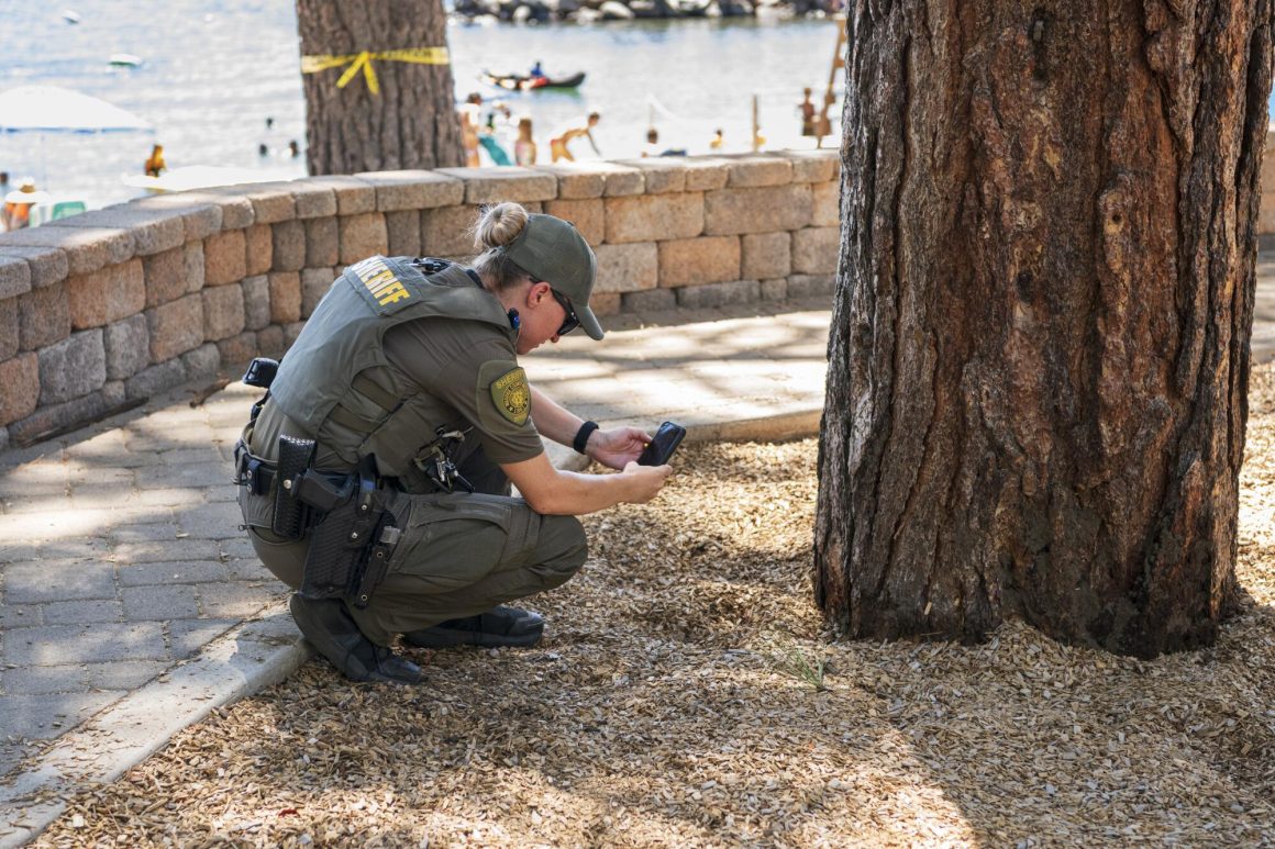 Tree Poisoning Mystery in Lake Tahoe Community