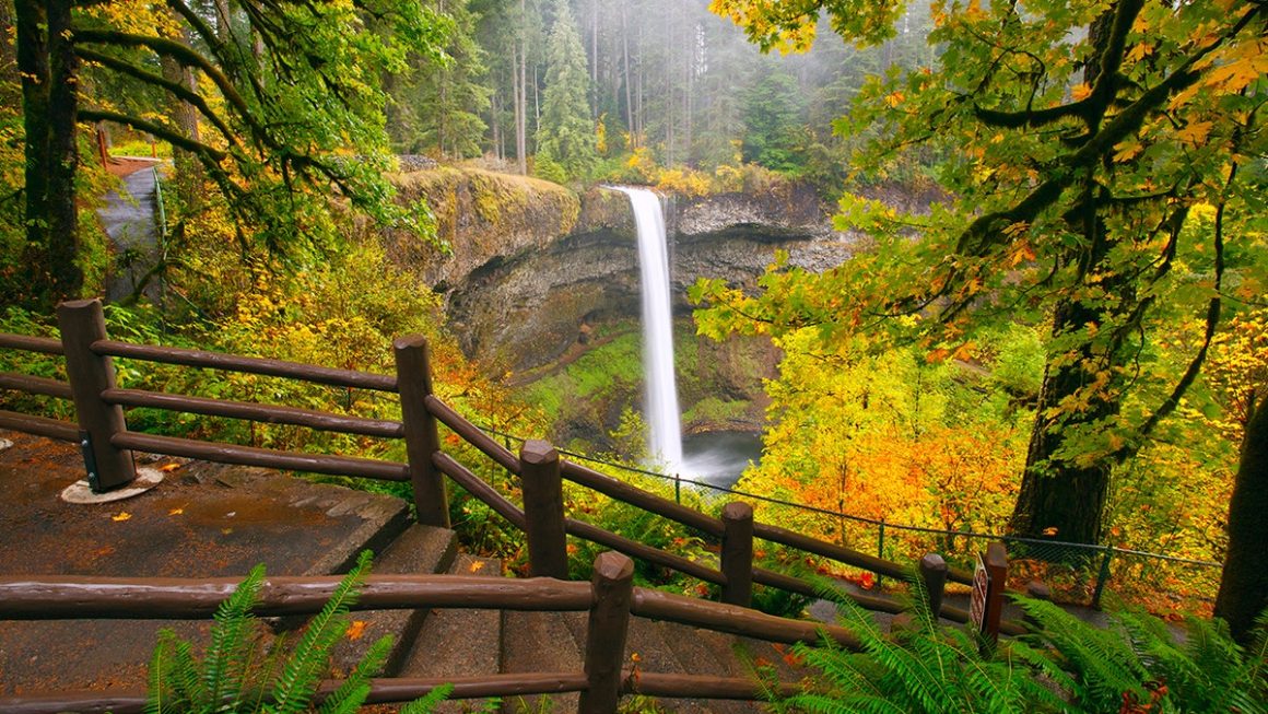 Hiker’s Fatal Fall at Silver Falls State Park