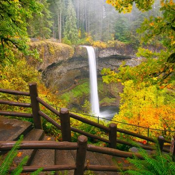 7f672906-6ee7-49a3-a38d-d07cfe94522e Hiker’s Fatal Fall at Silver Falls State Park