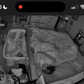 Mom’s Quick Action Saves Baby from Choking Incident