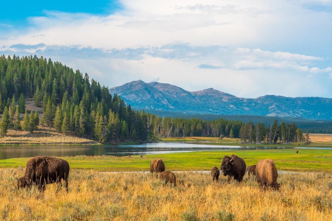 Avoid Becoming a ‘Touron’: Common Mistakes in National Parks