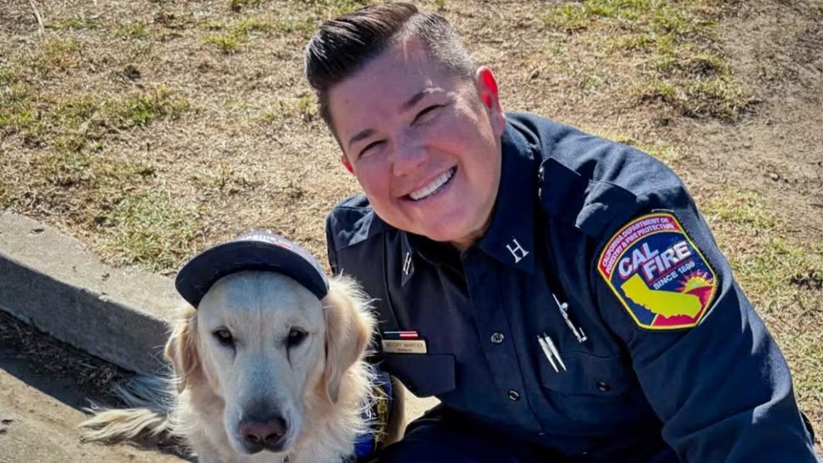 California Woman Pleads Guilty to Murdering Fire Captain Wife