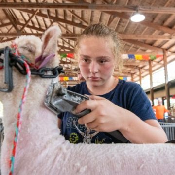 Lake County Fair: A Celebration of Fun and Community