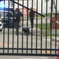 Virginia State University Shooting Investigation