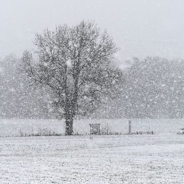 Old Farmer’s Almanac Forecasts Super El Niño Impact for Winter 2026–2027