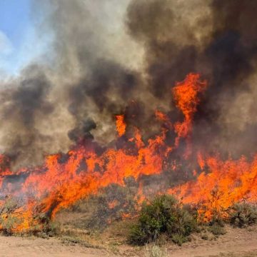Wildfires in Western U.S. and Canada Cause Evacuations and Fatalities