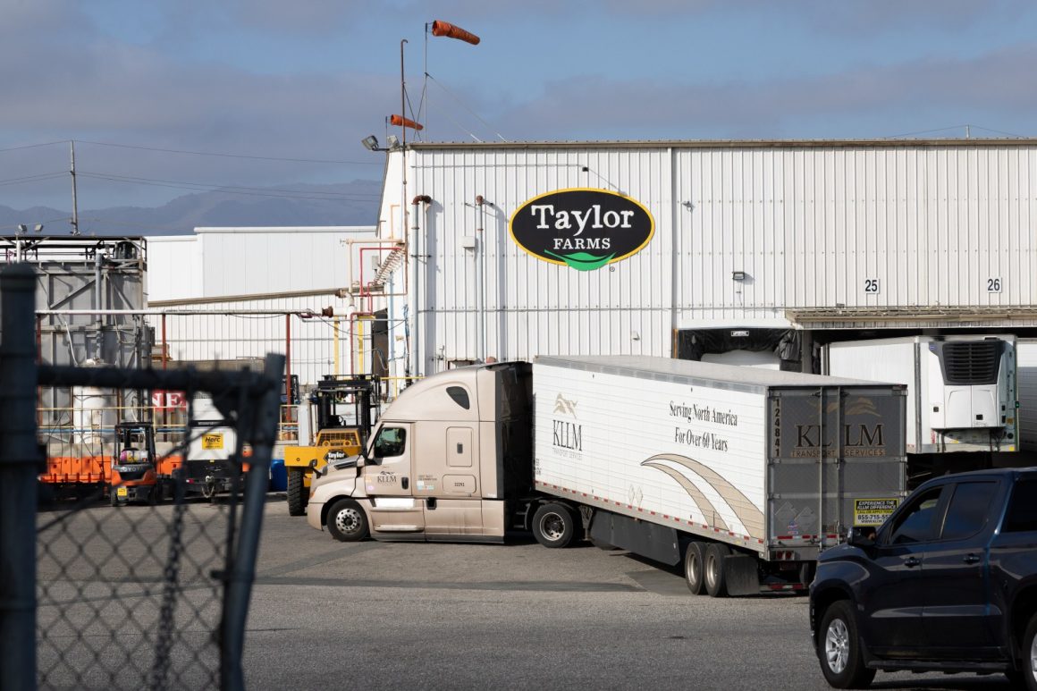 Taylor Farms Recalls Products Due to Salmonella Risk