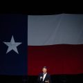 Challenges and Dynamics of Midterm Elections
