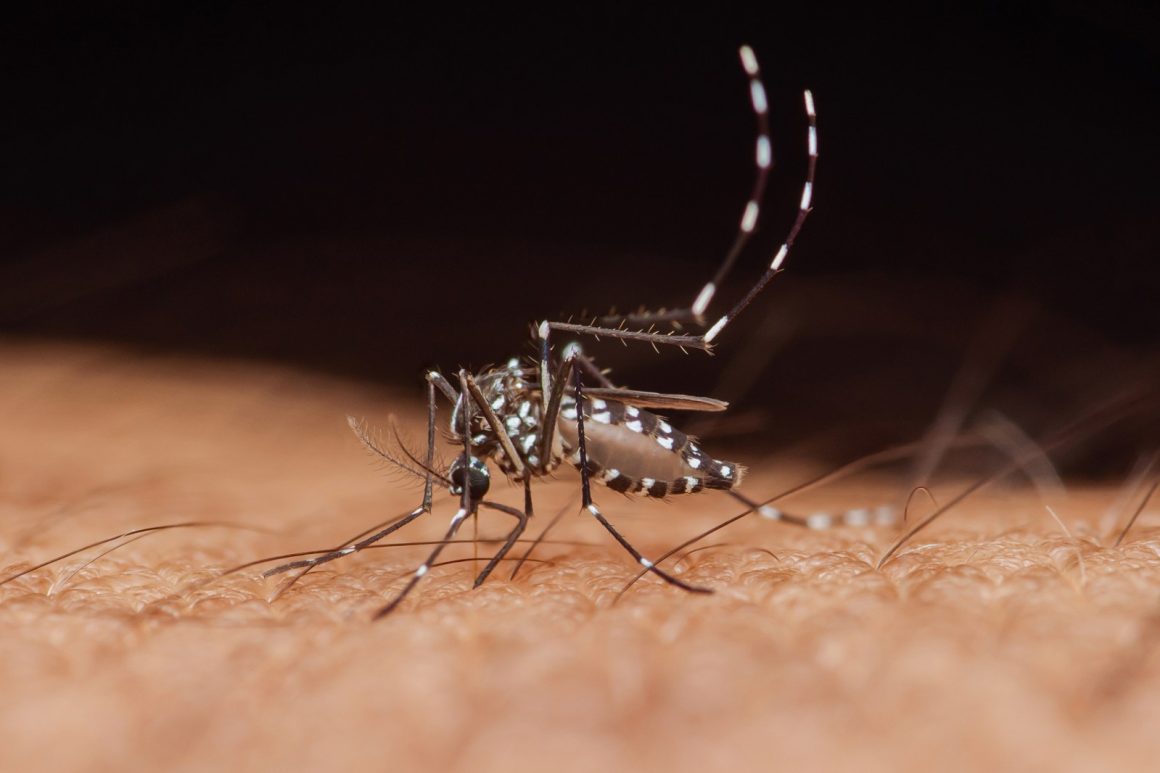 West Nile Virus Cases Reported in 32 States