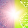 The Potential Dangers of Mirror Cells: An Emerging Scientific Concern