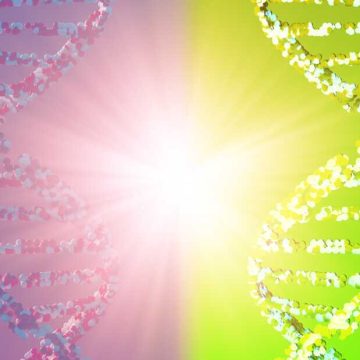 ad7c81d3-482c-4438-82d5-fa946109d6d8 The Potential Dangers of Mirror Cells: An Emerging Scientific Concern