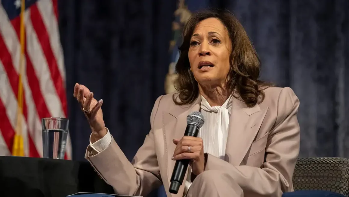 b0d3f353-90d3-4c64-b7fe-c0b2417a769c Kamala Harris’s Potential 2028 Presidential Bid Focuses on Progressive Outreach