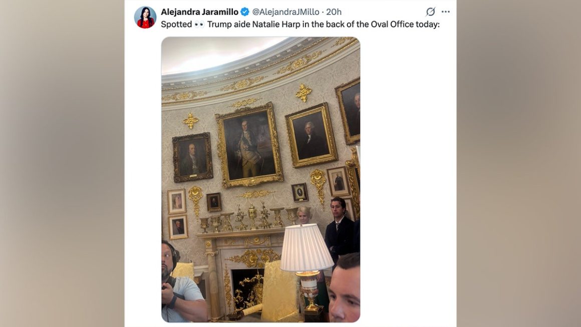 Media Focus on Trump Aide Natalie Harp
