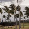 Hurricane Lala Hits Hawaii Before Downgrading to Tropical Storm