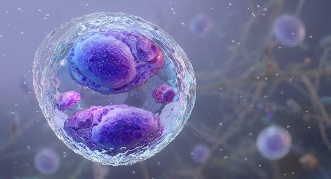 The Rise of Foodborne Pathogens Beyond Cyclospora