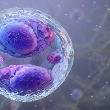 The Rise of Foodborne Pathogens Beyond Cyclospora