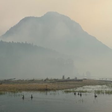 Wildfires Impact Washington’s National Parks