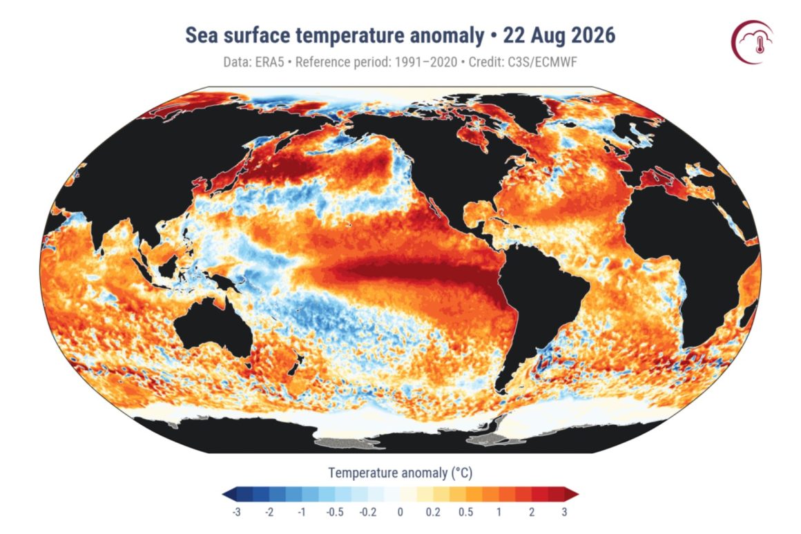 Global Oceans Reach Record Surface Temperatures as El Niño Intensifies