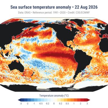 Global Oceans Reach Record Surface Temperatures as El Niño Intensifies