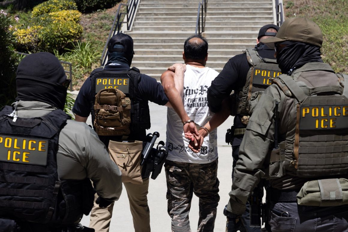 ICE Arrest Patterns During Trump’s Second Term