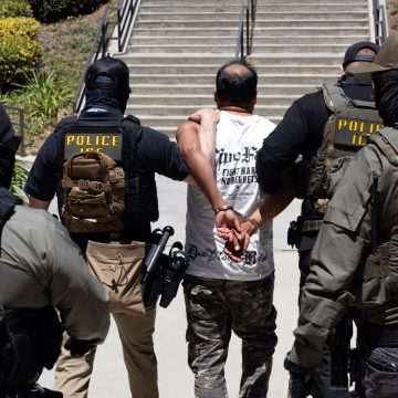 ICE Arrest Patterns During Trump’s Second Term