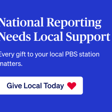 News Wrap: Highlights from August 12, 2026
