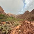 Flash Flood in Grand Canyon Leads to Search for Missing Individuals
