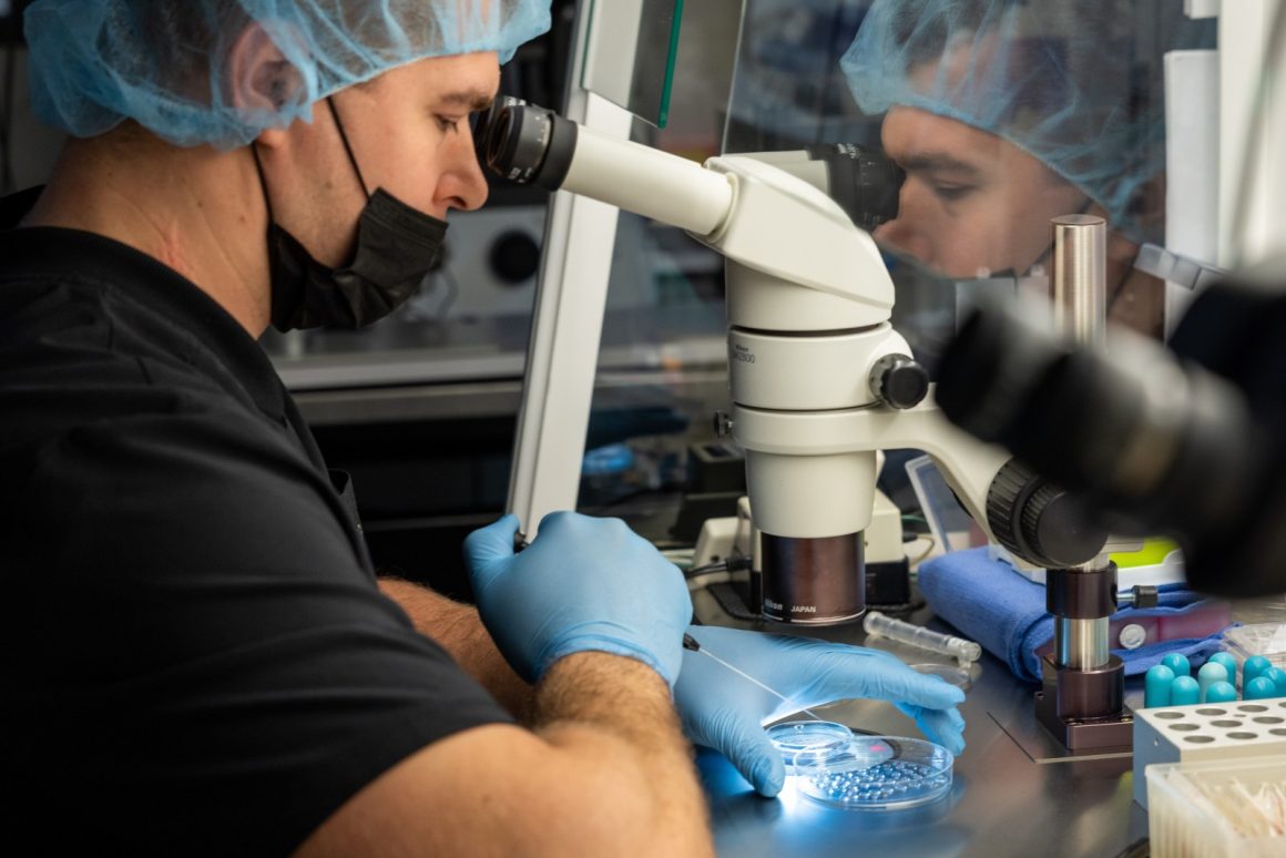 Baylor Genetics Data Breach Exposes Sensitive IVF Patient Information