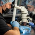 Baylor Genetics Data Breach Exposes Sensitive IVF Patient Information