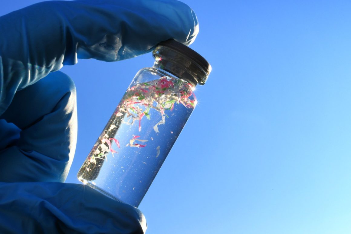 Research Indicates Polyethylene May Contribute to Fatty Liver Disease