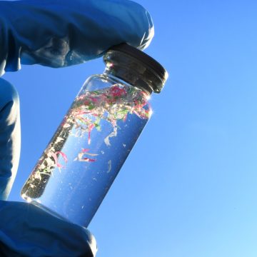 Research Indicates Polyethylene May Contribute to Fatty Liver Disease