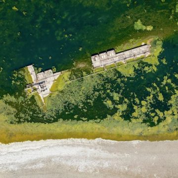 Record Low Water Levels in Danube Reveal World War II Relics and Ancient Mammoth