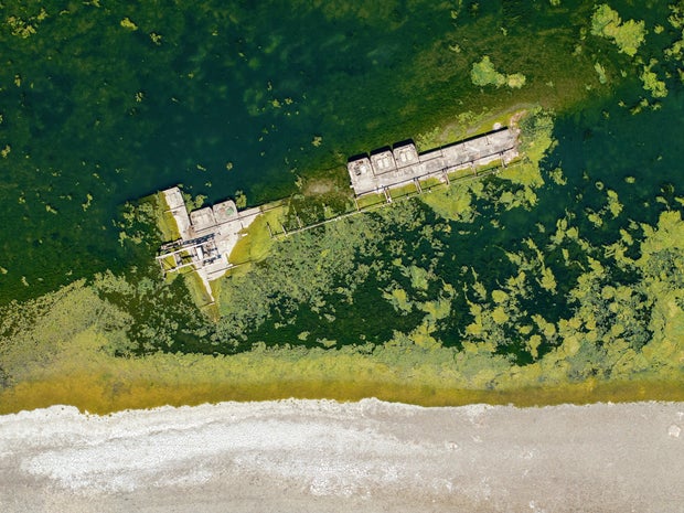 dfa28da8-5044-48c8-875d-a6696db4f803 Record Low Water Levels in Danube Reveal World War II Relics and Ancient Mammoth