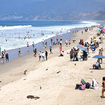 Beach Safety Amid Elevated Surf and Rip Currents