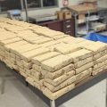 Underground Drug Tunnel and Major Seizures by CBP in San Diego