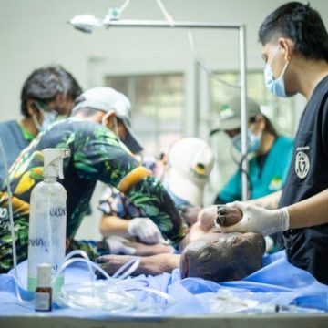 Colombia Rescues Malnourished Baby Hippo Amid Challenges with ‘Cocaine Hippos’